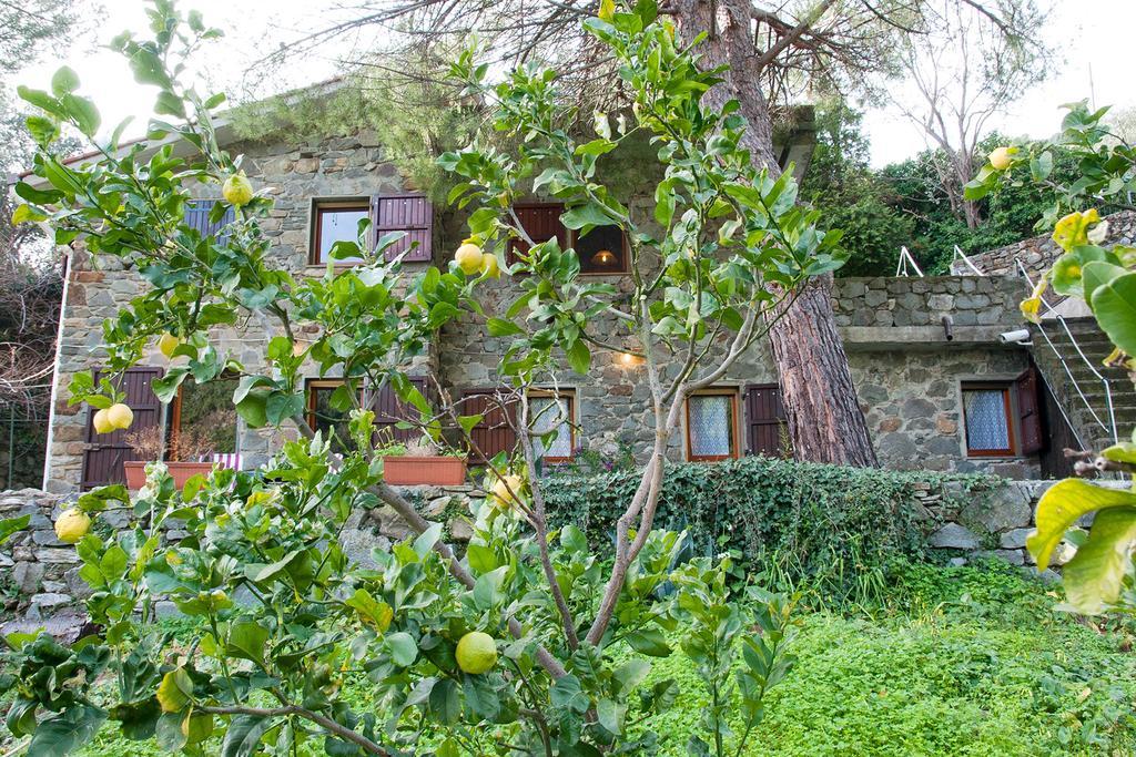 Due Pini Appartement Corniglia Buitenkant foto
