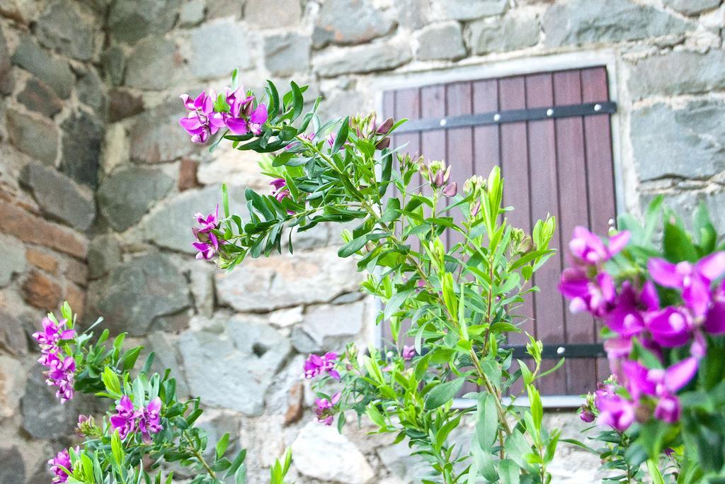 Due Pini Appartement Corniglia Buitenkant foto