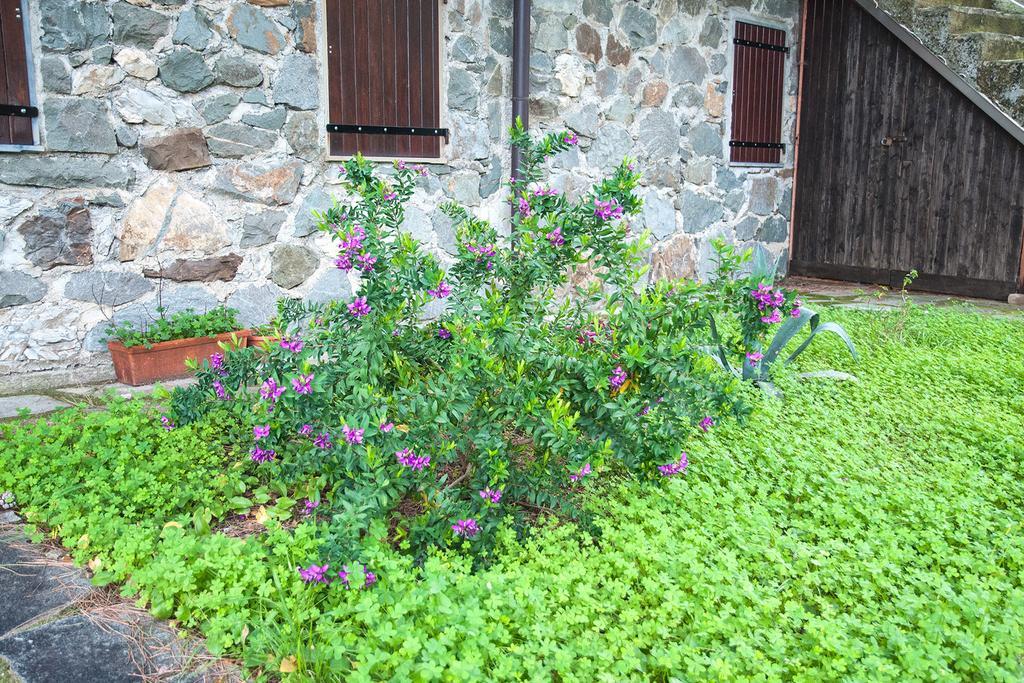 Due Pini Appartement Corniglia Buitenkant foto